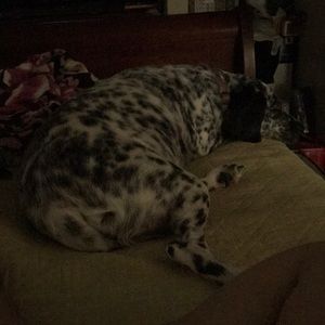 Meet your Posher, Alma